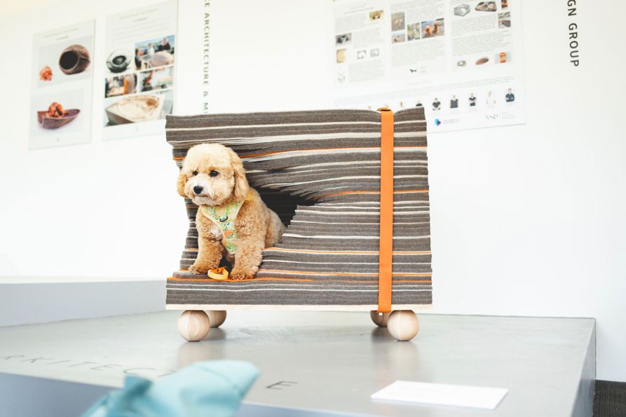 Goodwoof2025_KirstyJayneRussell-108.jpg