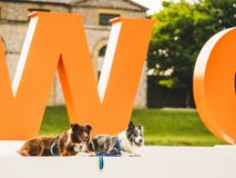 Website-Goodwoof2024_JackBeasley_199.jpg
